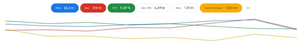 Google Ads konsult